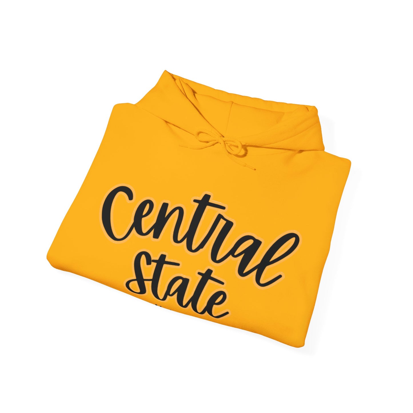Central State University Black & Gold